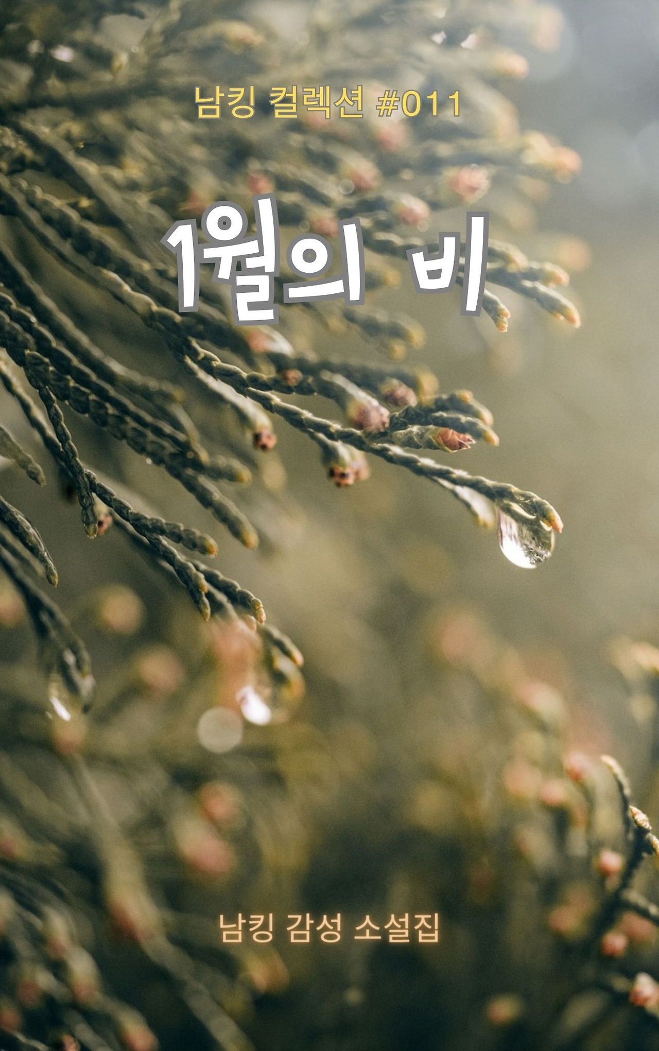 1월의 비 Book Cover (13).jpg