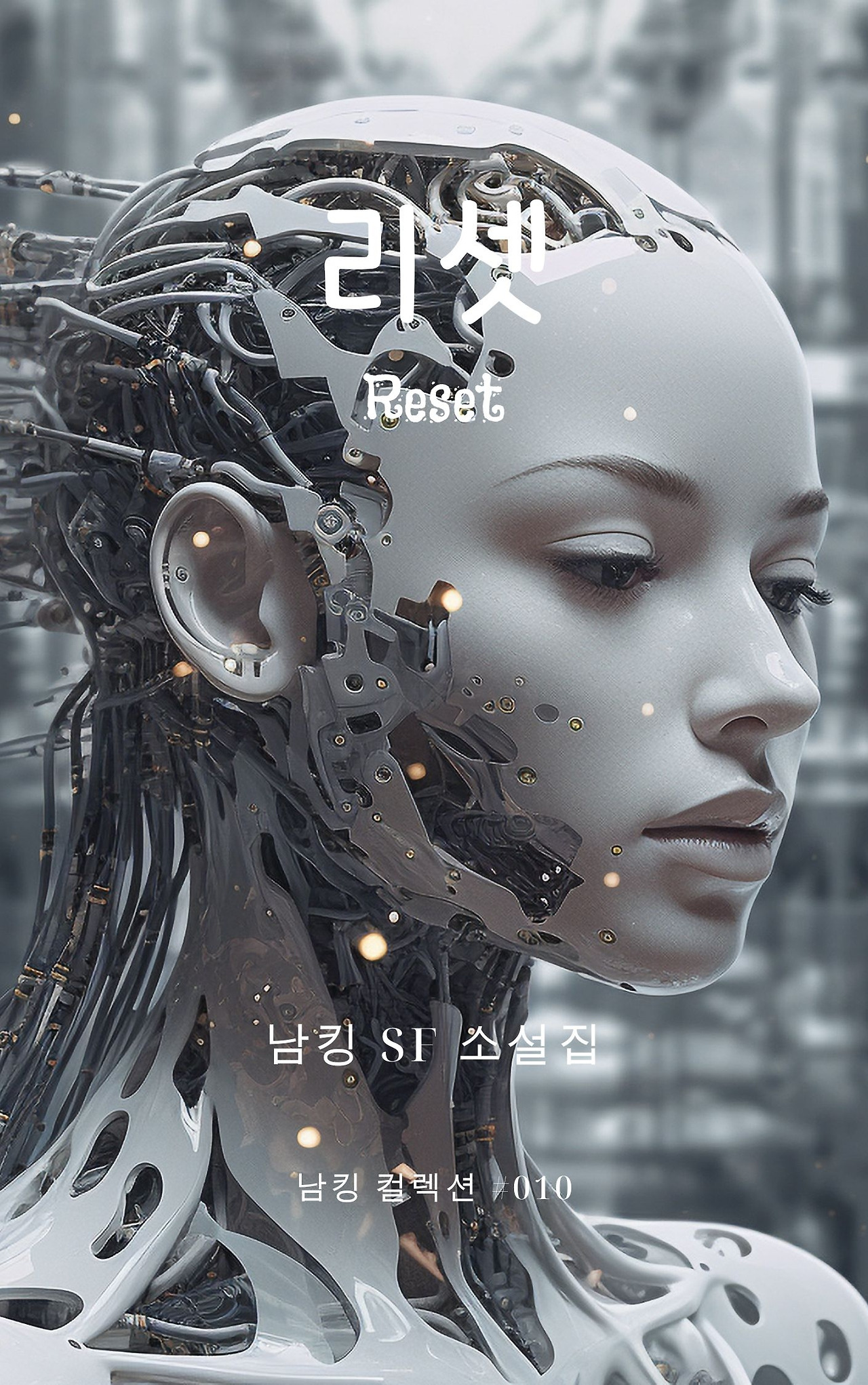 Reset Book Cover  (4).jpg