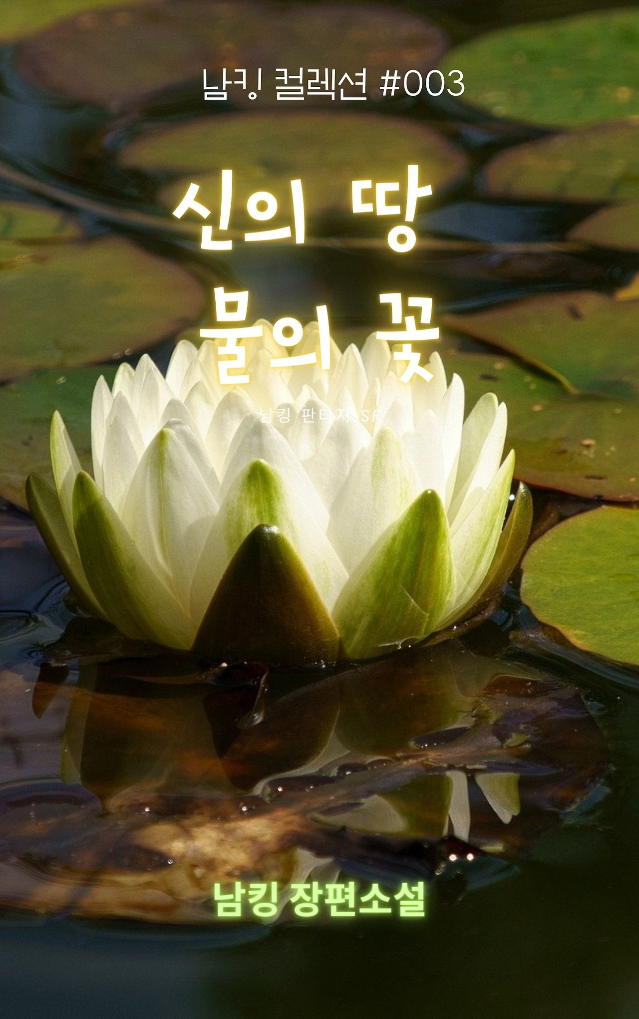 신의 땅 물의 꽃 (2).jpg