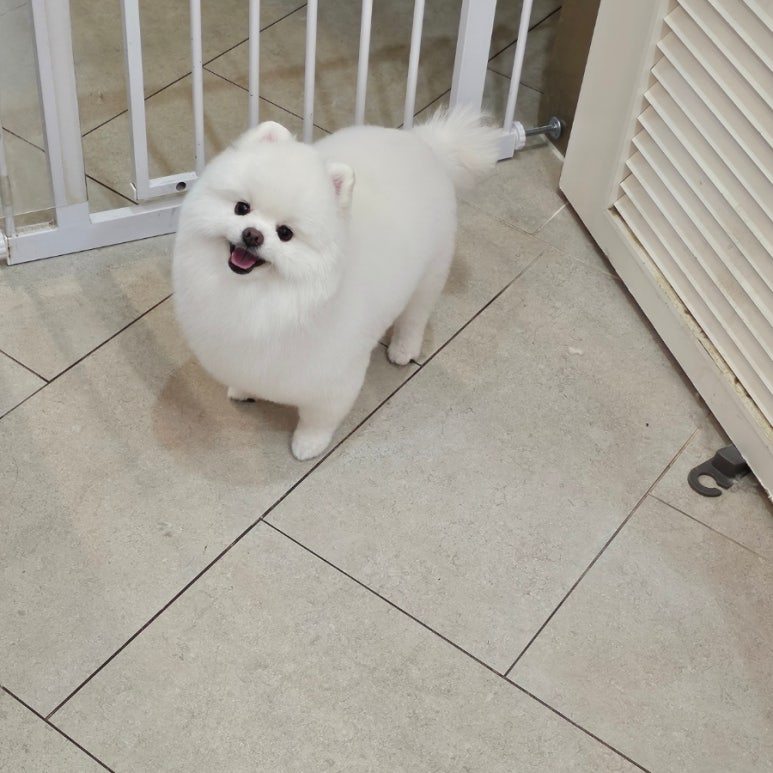 카지노 게임