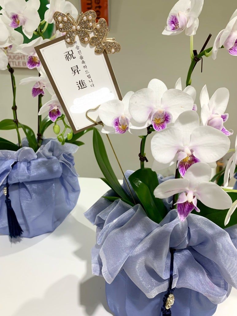 50대직장인 과거에 매몰되다1.jpg