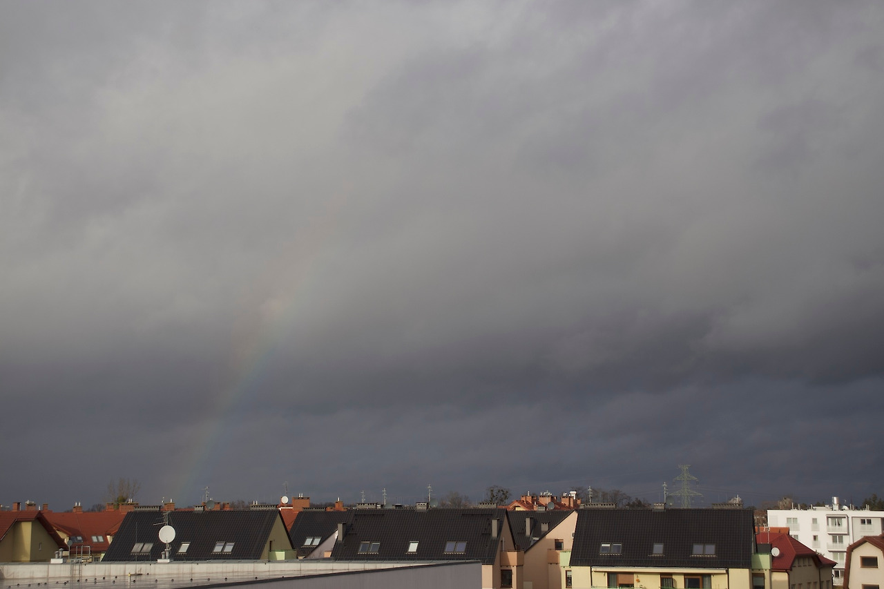 IMG_2937 복사본.jpg