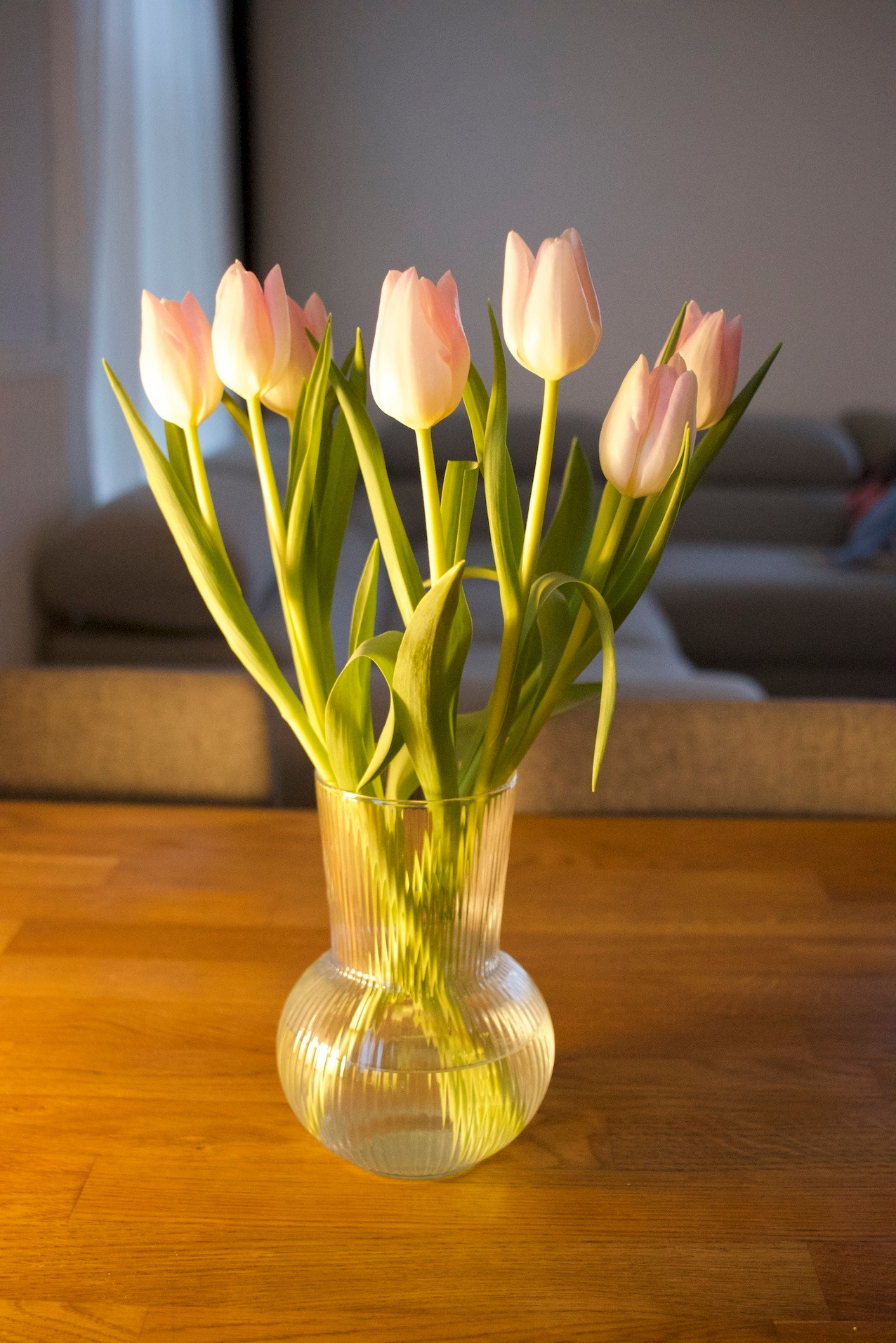 IMG_2880 복사본.jpg