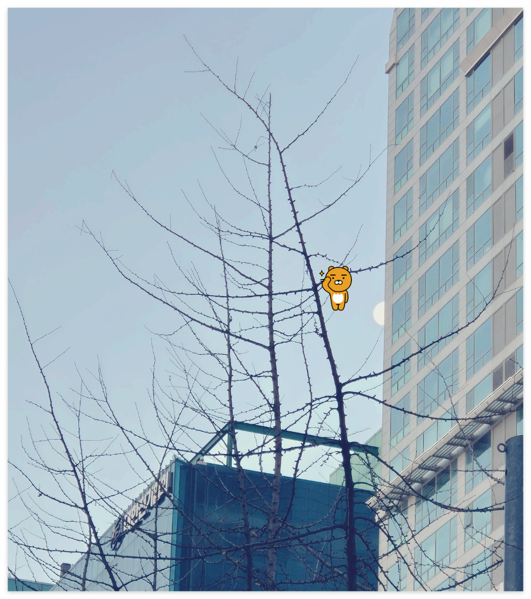 KakaoTalk_20250130_112730614_01.jpg