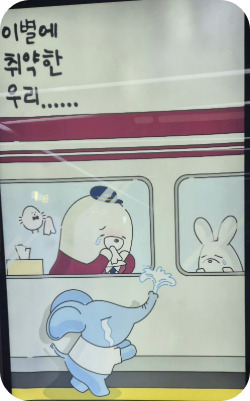 Adobe Express - file (1).jpg