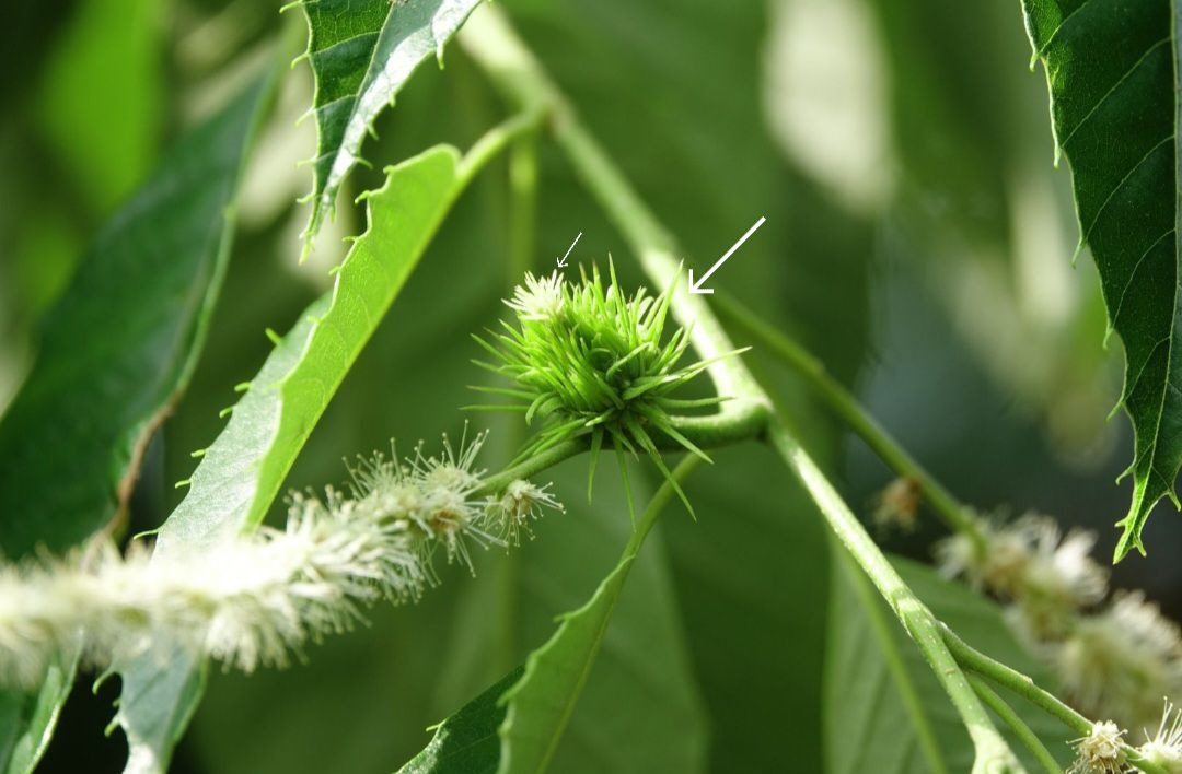 Screenshot_20231002_104626_NAVER MYBOX.jpg