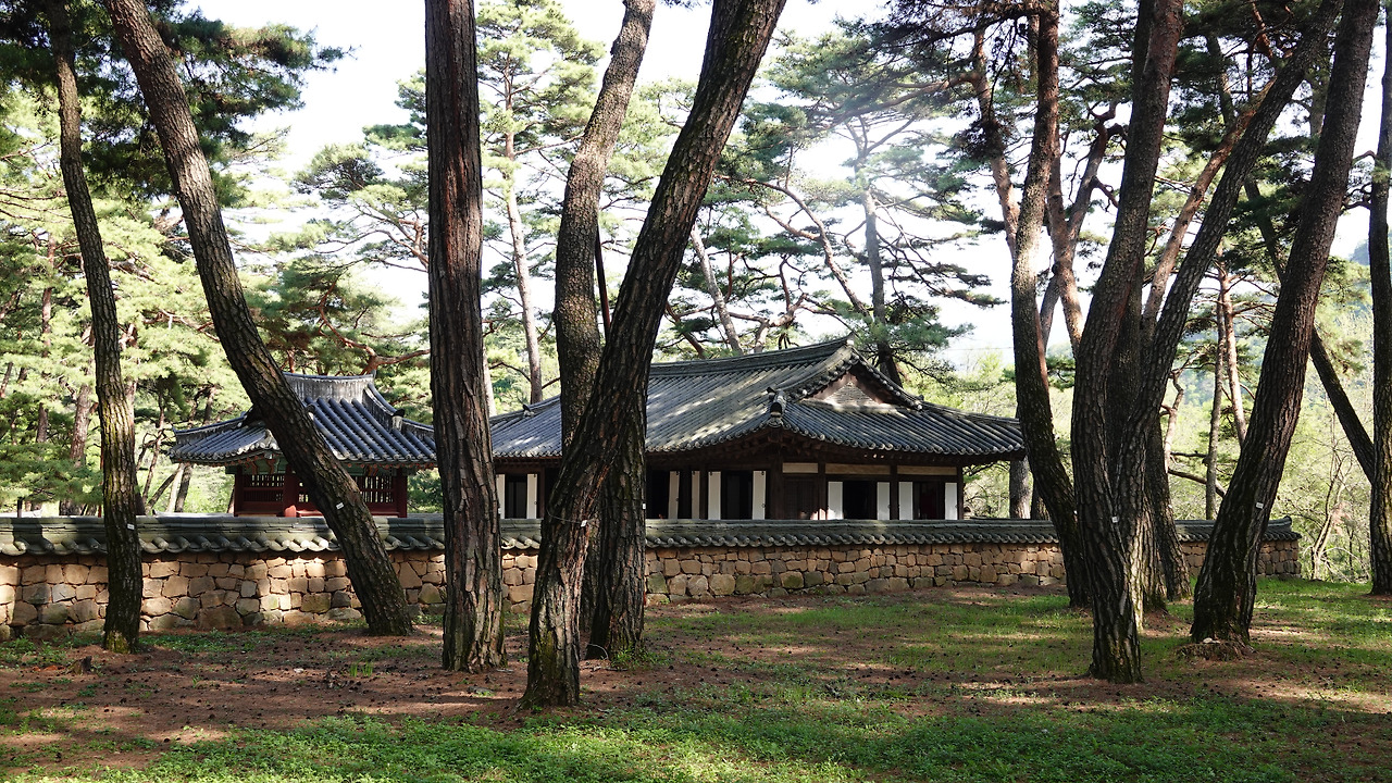 영월 청령포 단종어사.jpg