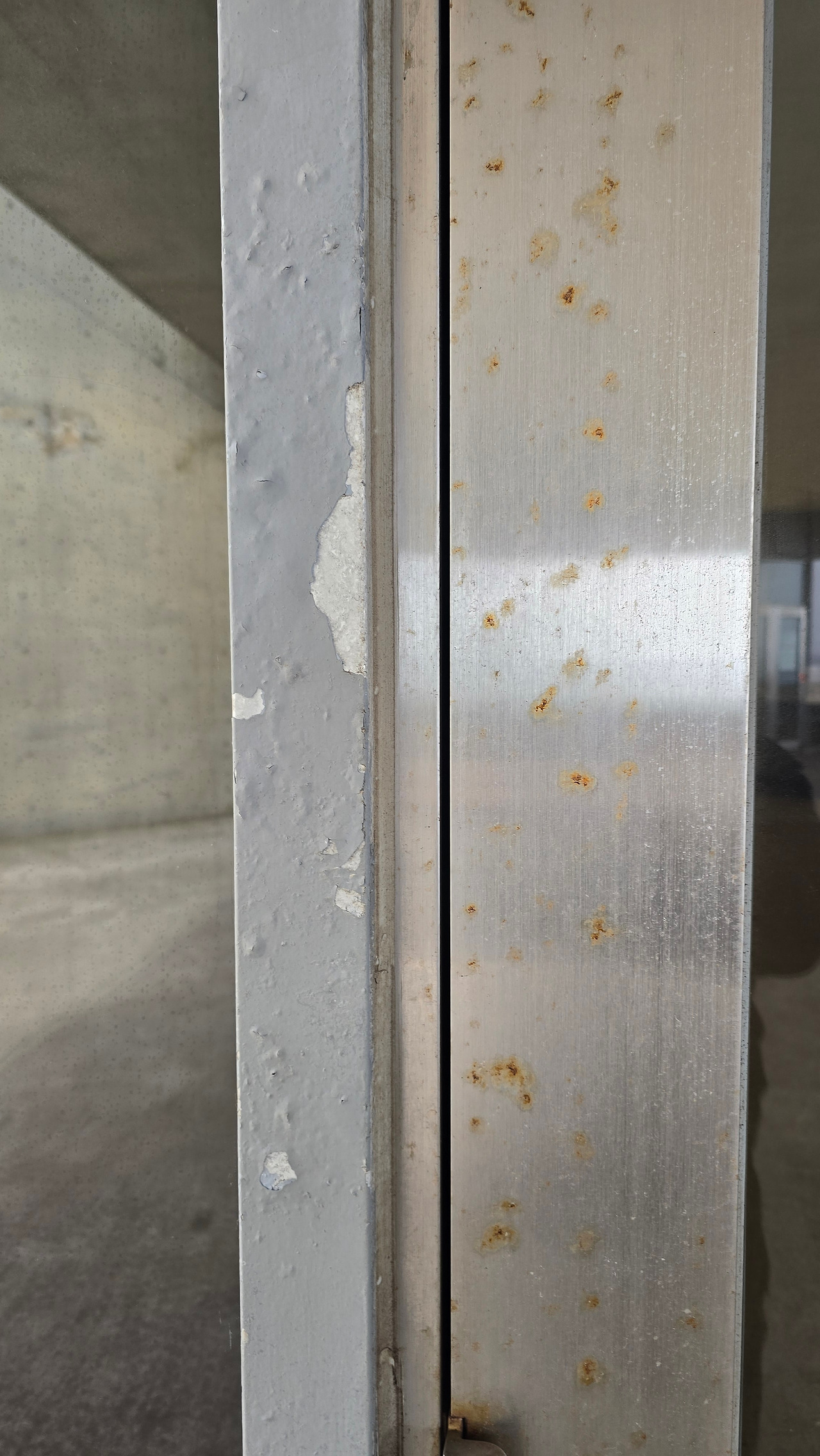 20240331_145329 (1).jpg