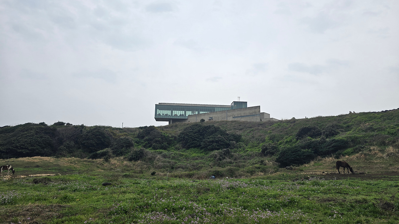 20240331_151549 (1).jpg