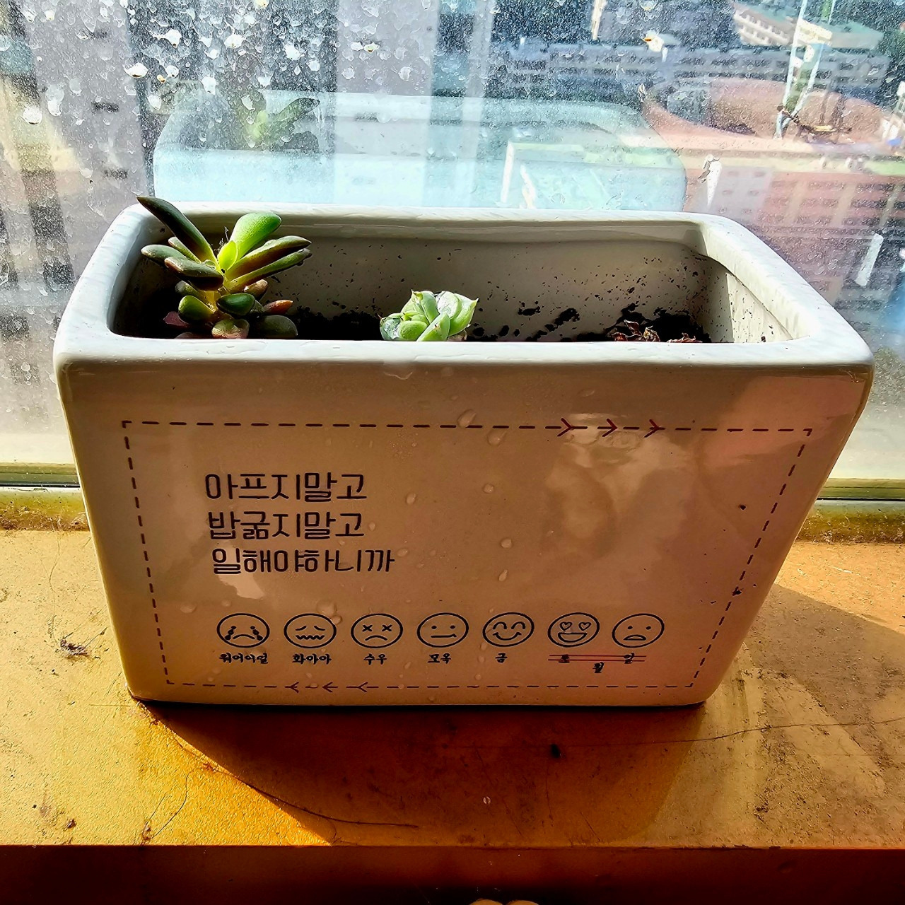 자탄풍-전체 사진-59664529363 (1).jpg