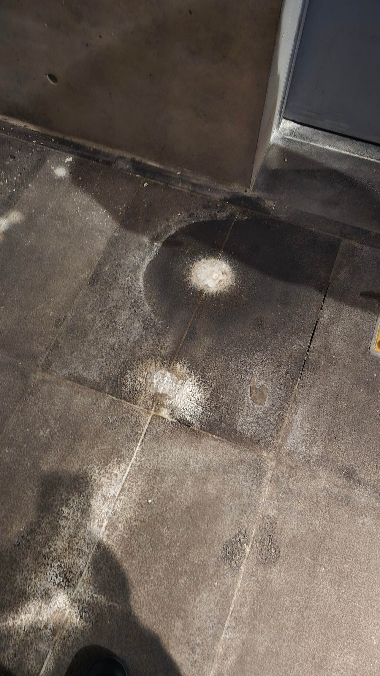 20240331_153119 (1).jpg