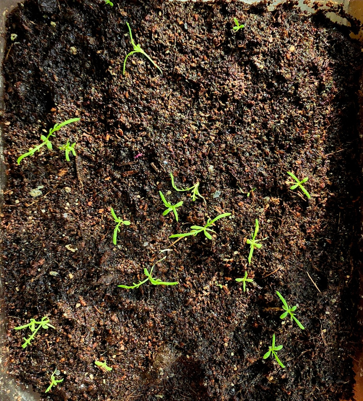 자탄풍-전체 사진-59664529364.jpg