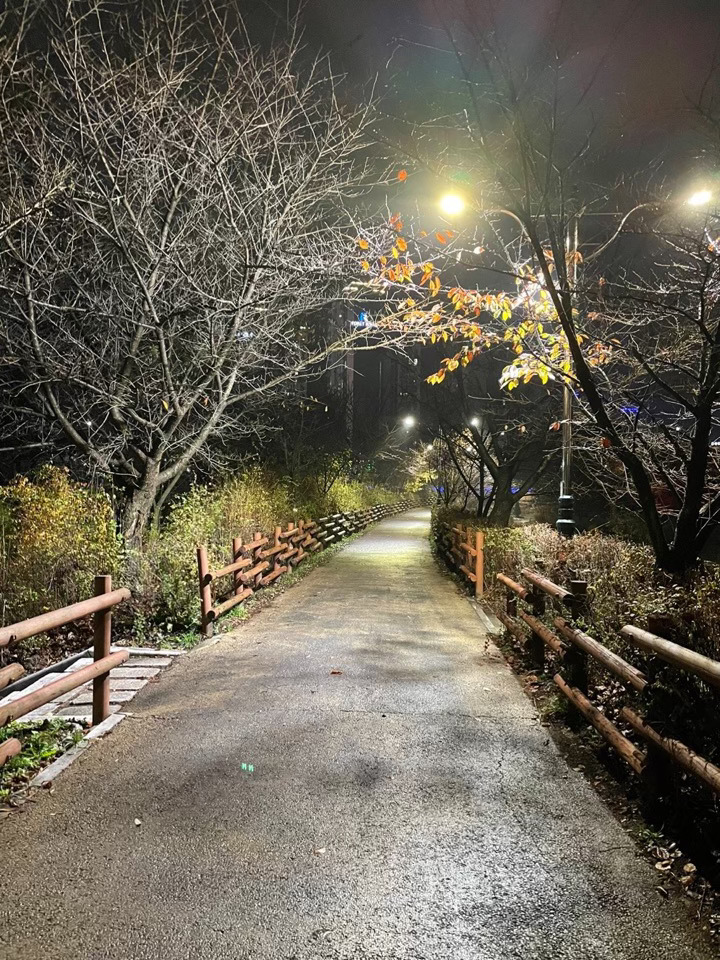 카지노 게임 사이트