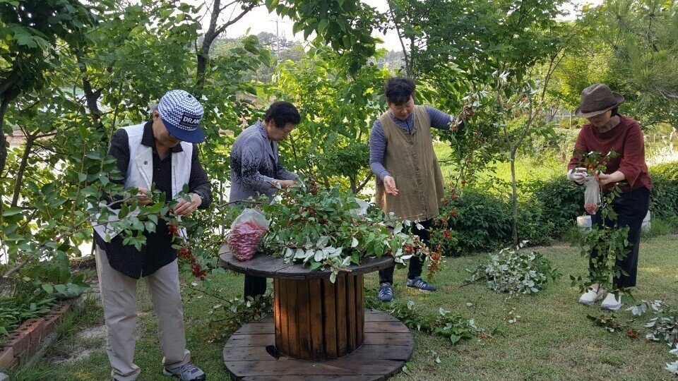 열매따기 체험.jpg