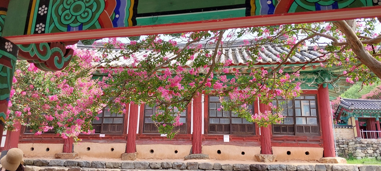 외삼문에서 명륜당바라보기.jpg