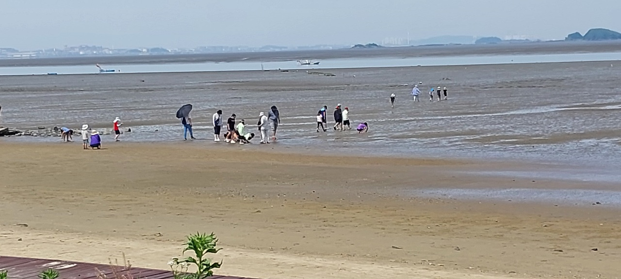 서천갯벌3.jpg
