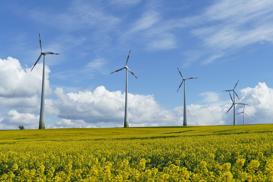 wind-power-1357419_960_720.jpg
