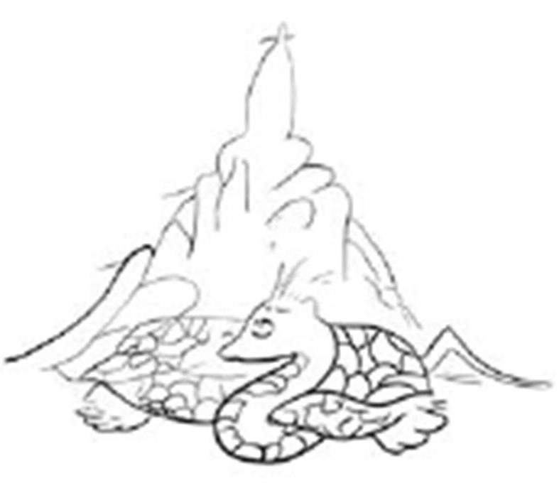 서삼리 현무 모사도001 (2).jpg