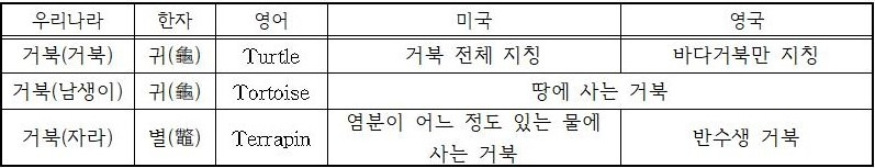 거북명칭001 (2).jpg