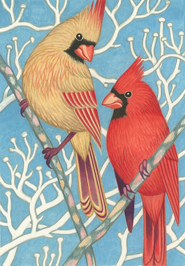 cardinals.jpg