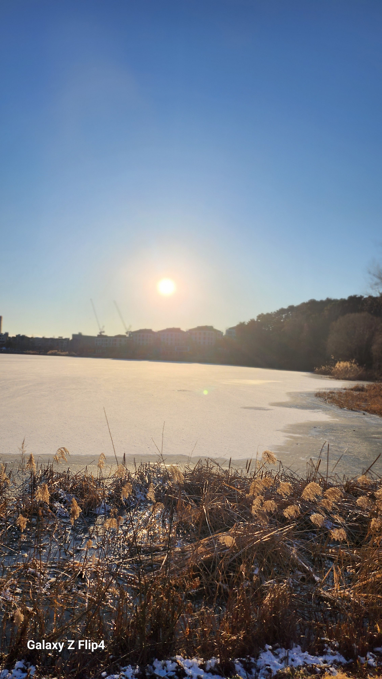 20240107_163511 (1).jpg