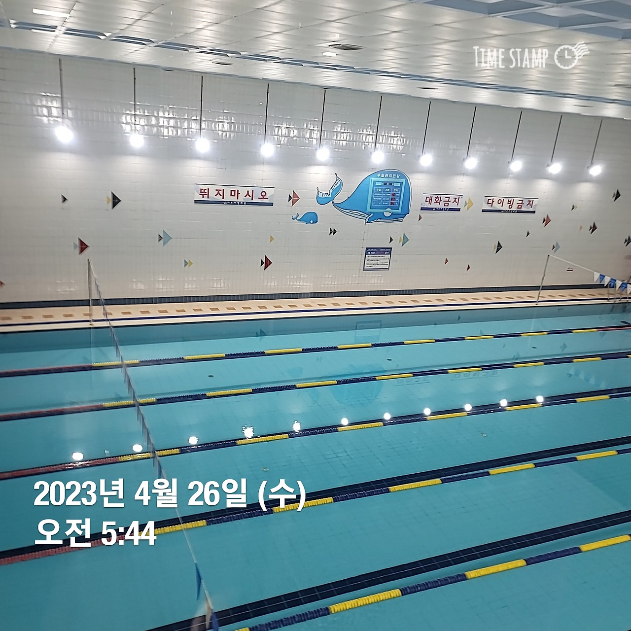 수영장426.jpg