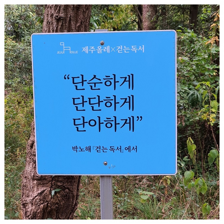 단단단.jpg