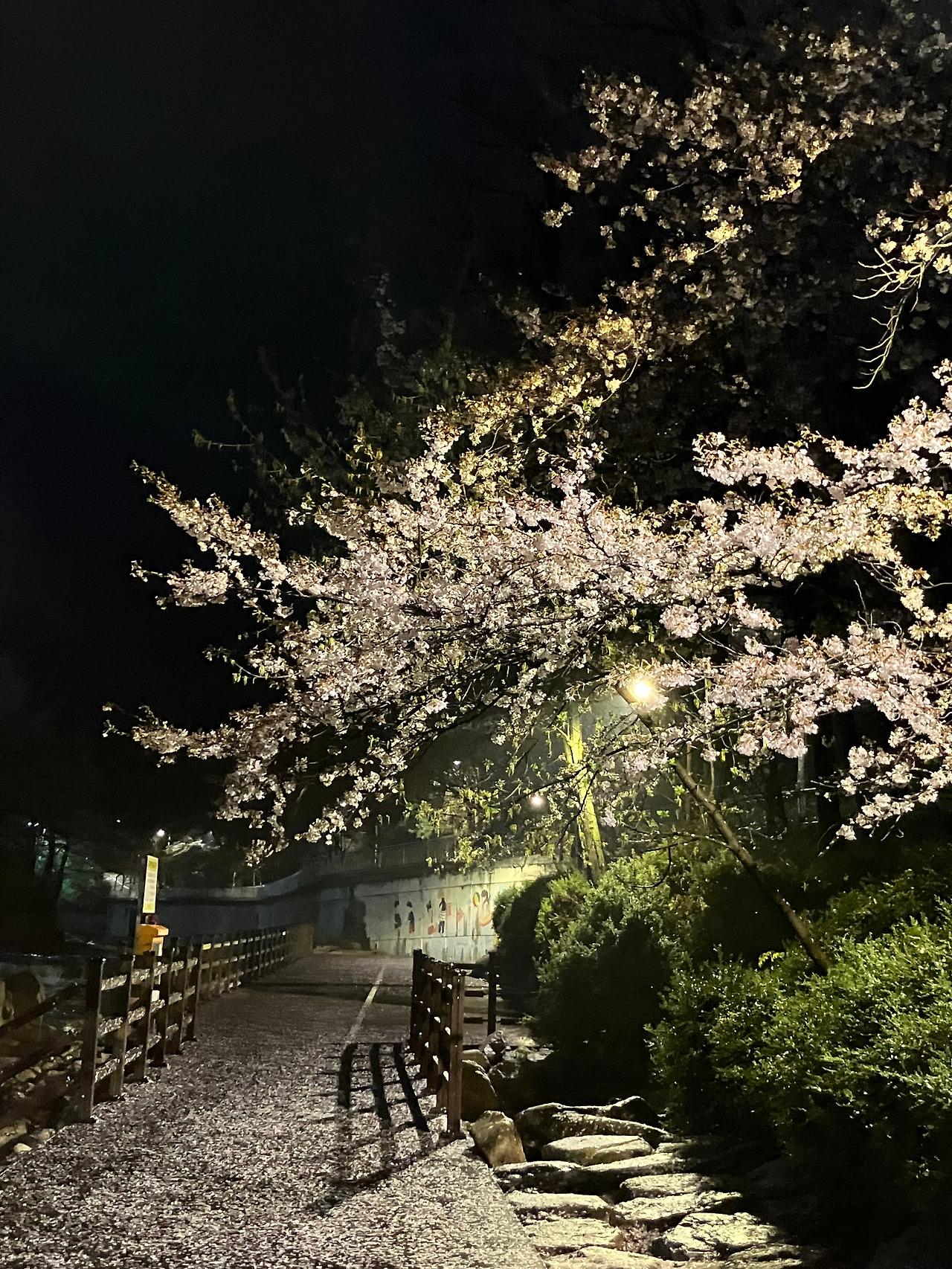 어바웃 생일과 축하.jpg