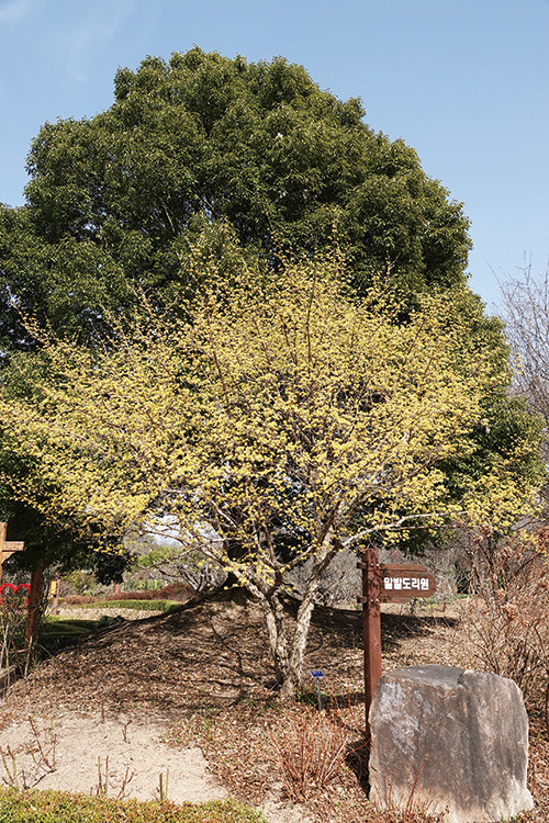 어바웃 봄과 그늘.jpg