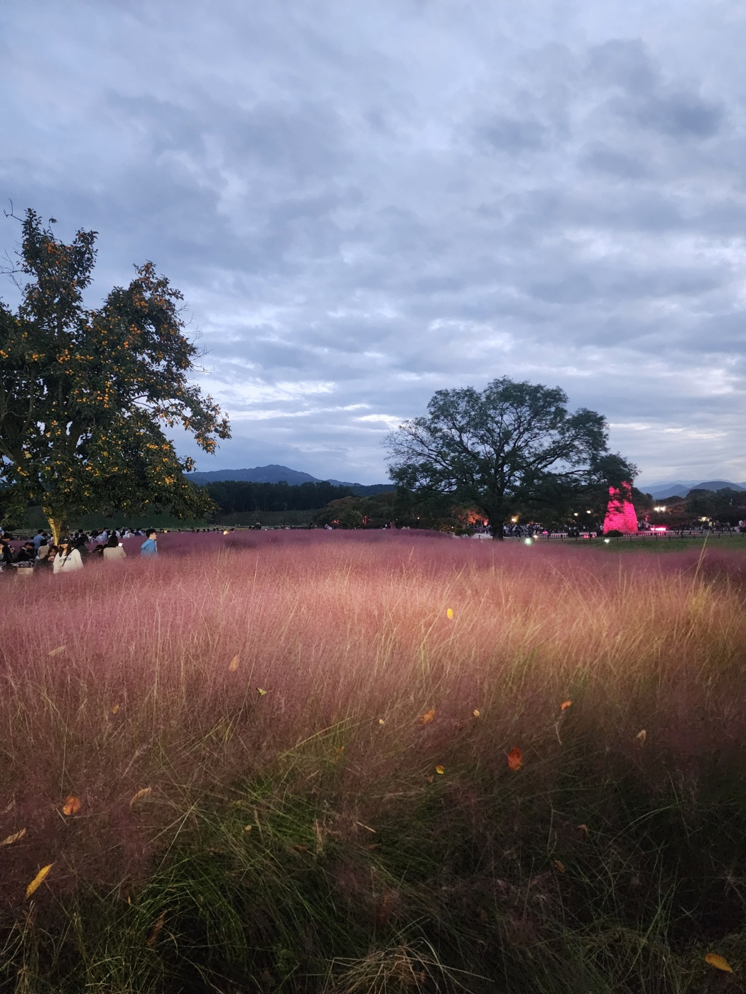 KakaoTalk_20231206_211635511 (1).jpg