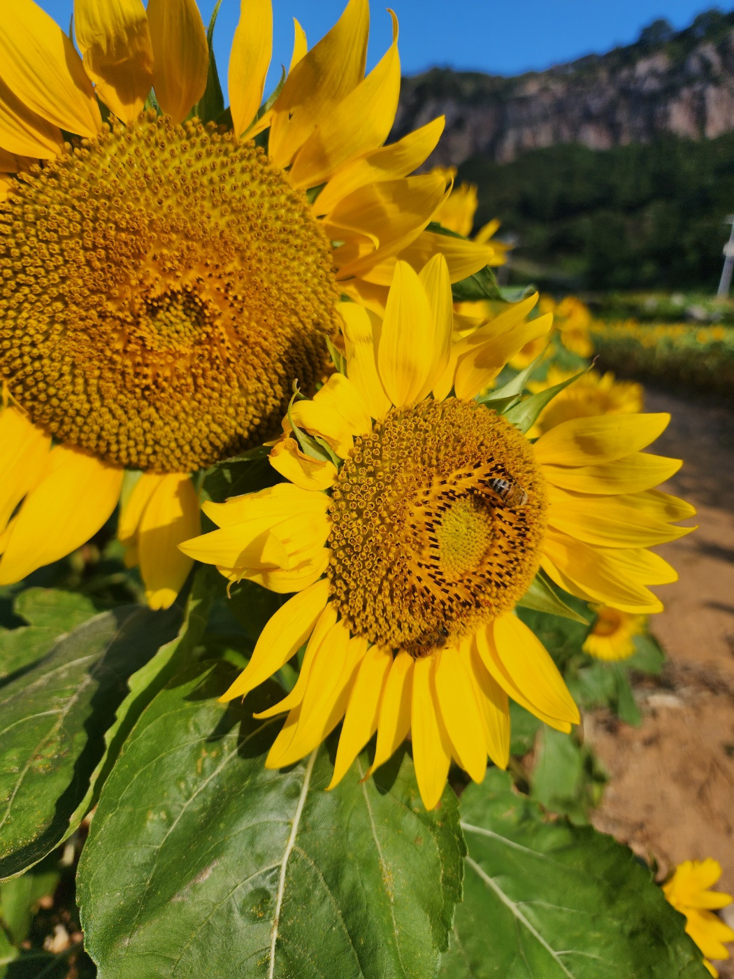 KakaoTalk_20230806_000614128_22 (1).jpg