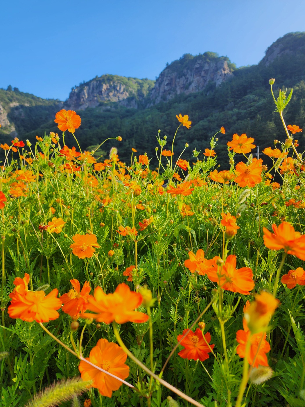 KakaoTalk_20230806_000614128_12 (1).jpg