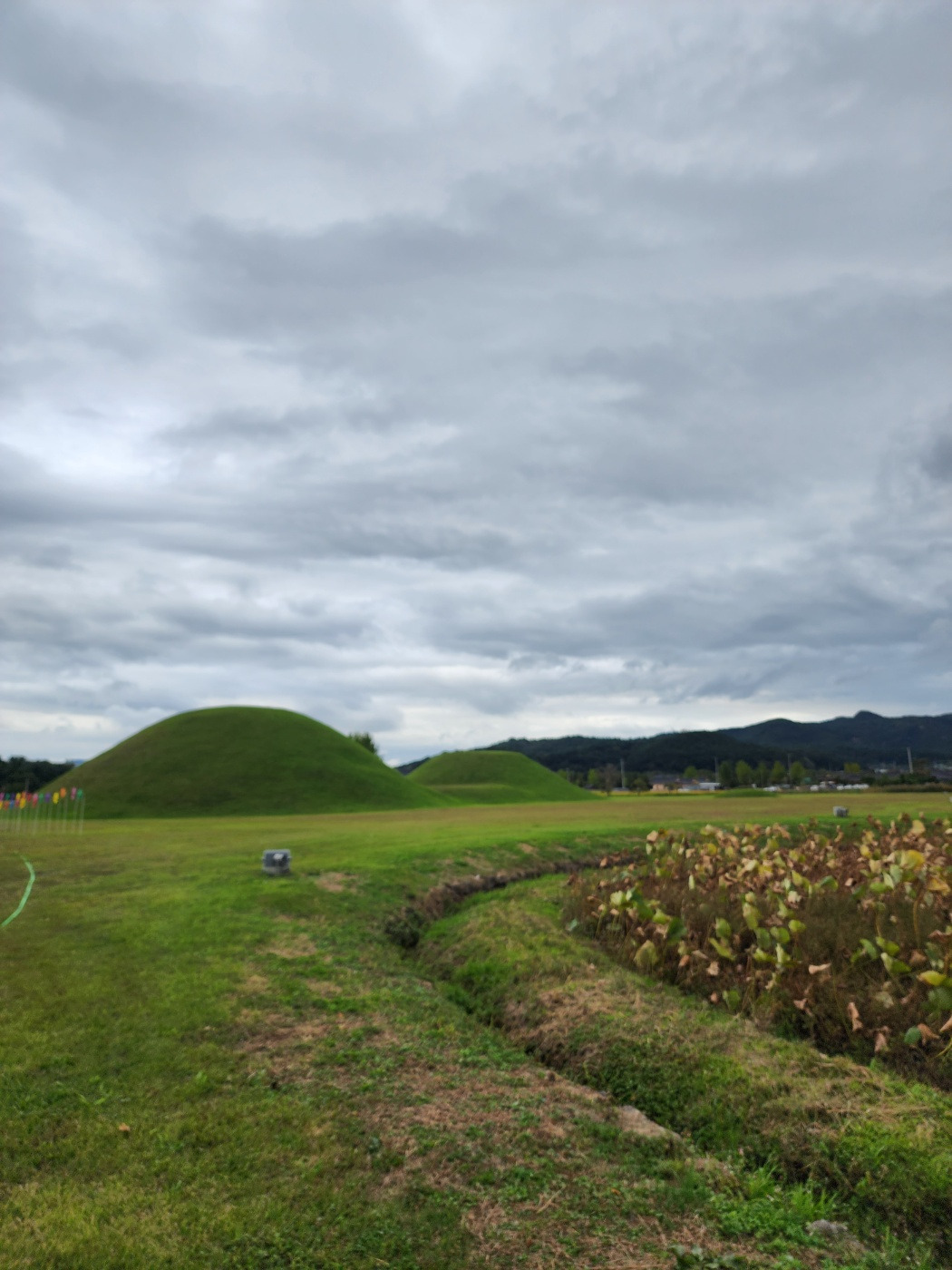 KakaoTalk_20231206_211407940 (1).jpg