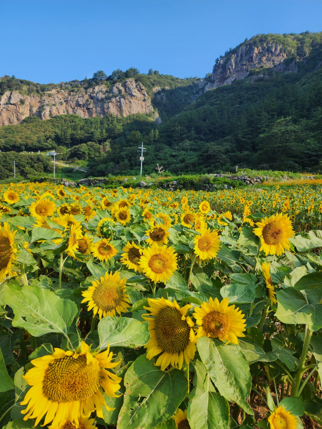 KakaoTalk_20230806_000614128_15 (1).jpg