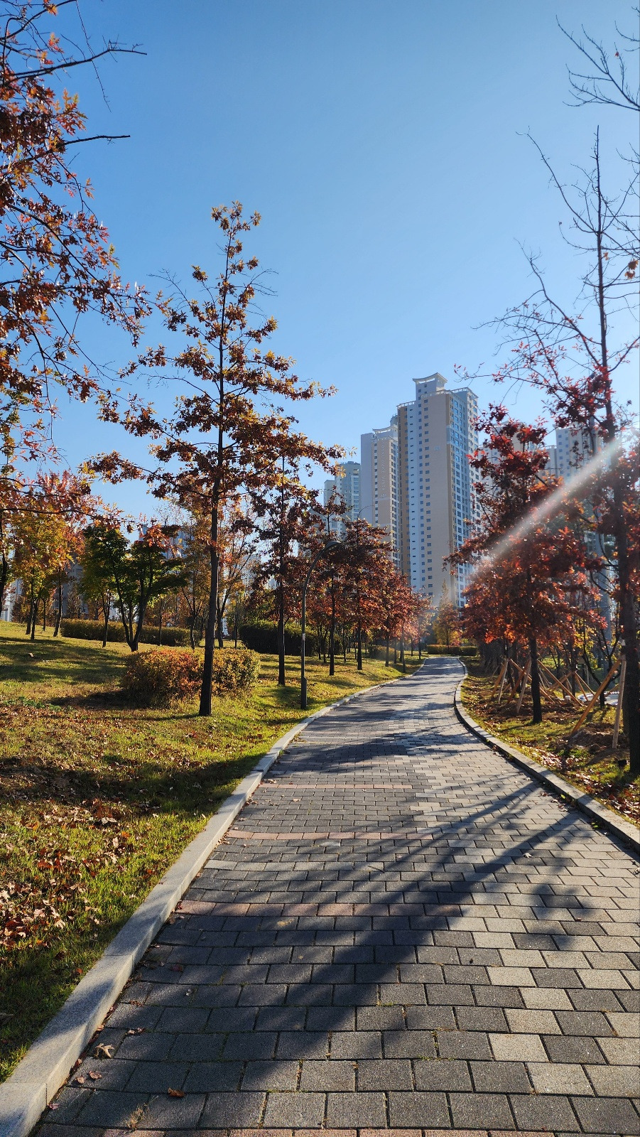 KakaoTalk_20241108_100819335_02 (1).jpg