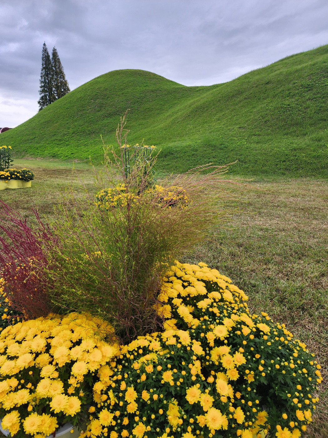 KakaoTalk_20231206_211407940_03 (1).jpg