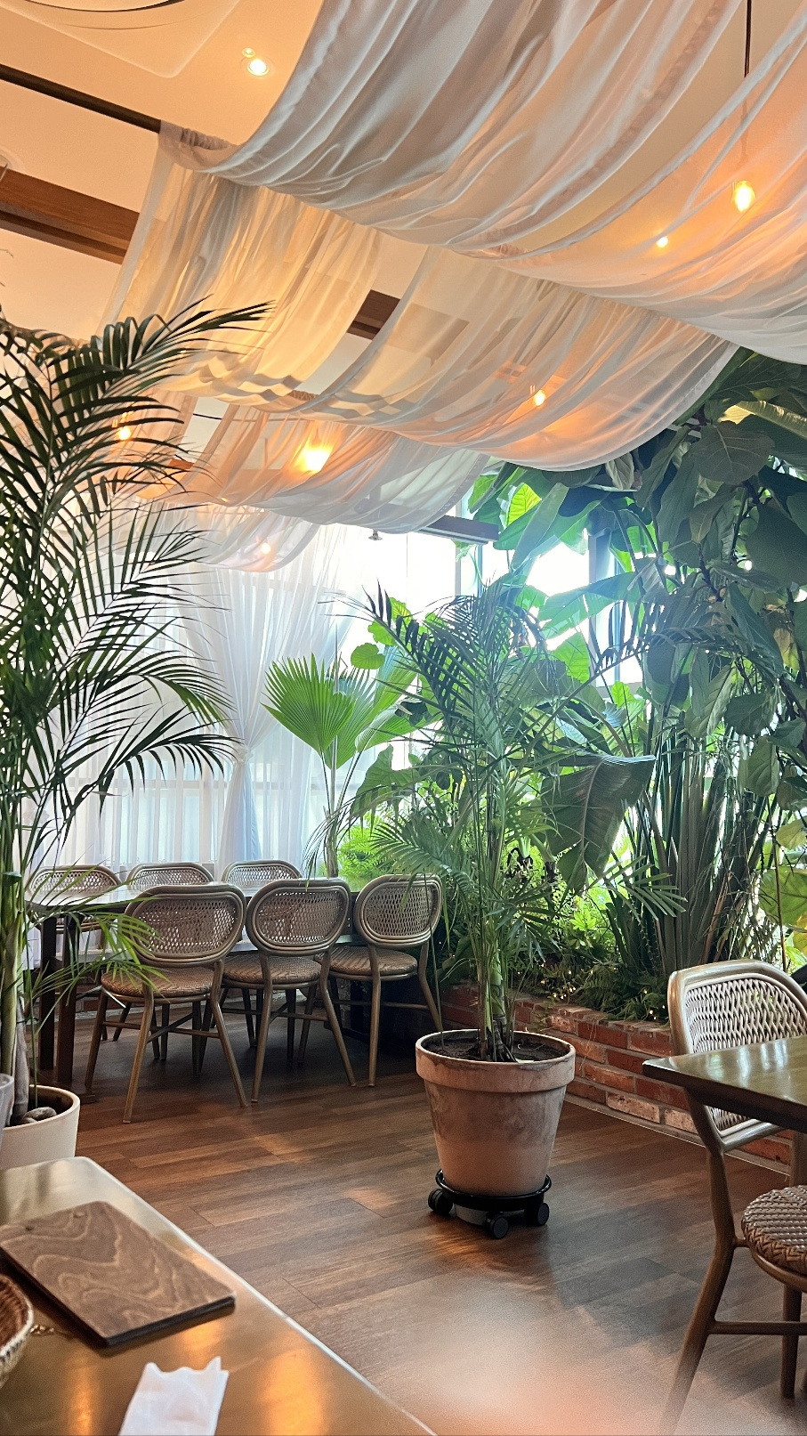 KakaoTalk_20231023_233231859_15 (1).jpg