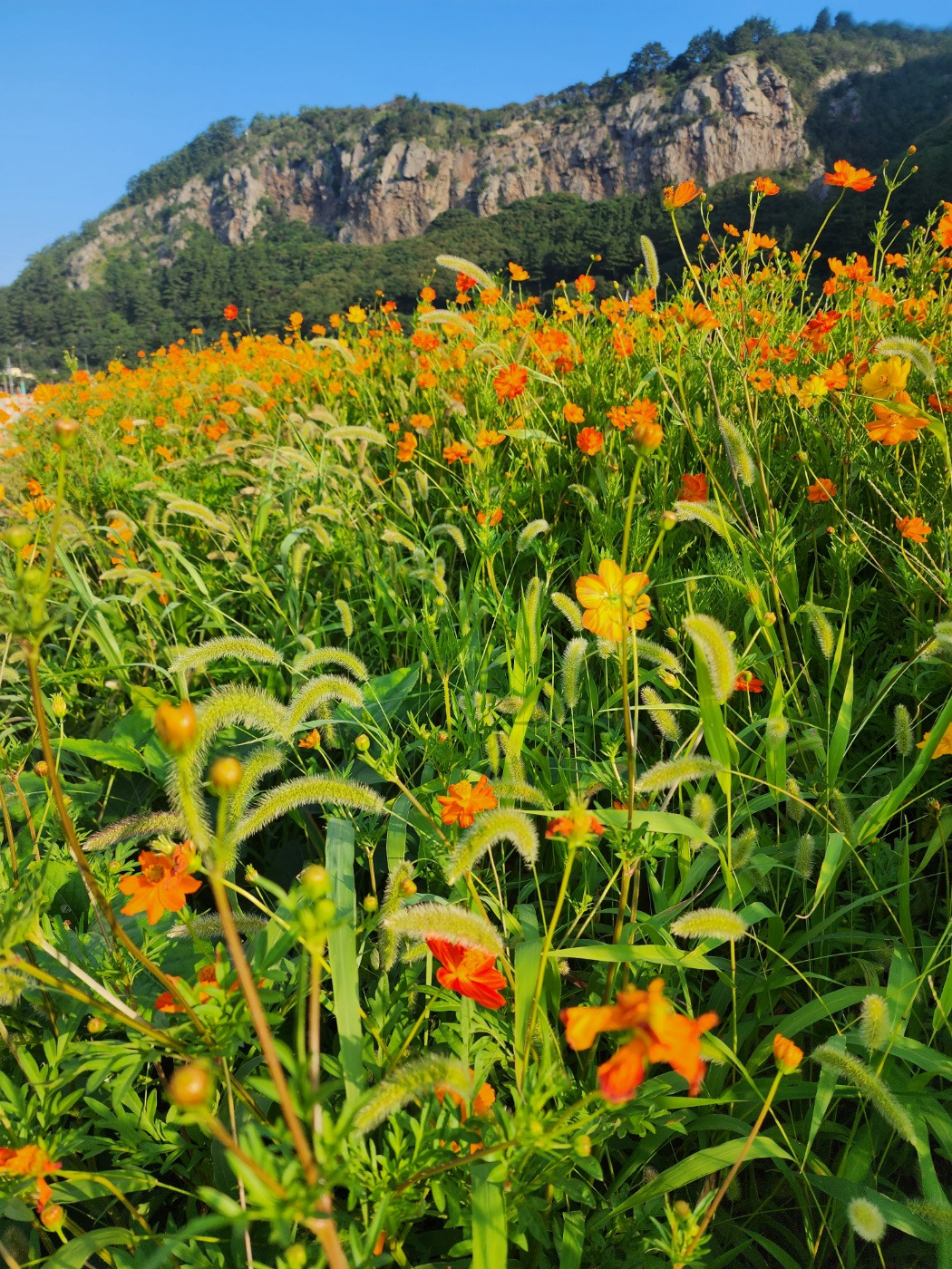 KakaoTalk_20230806_000614128_13 (1).jpg