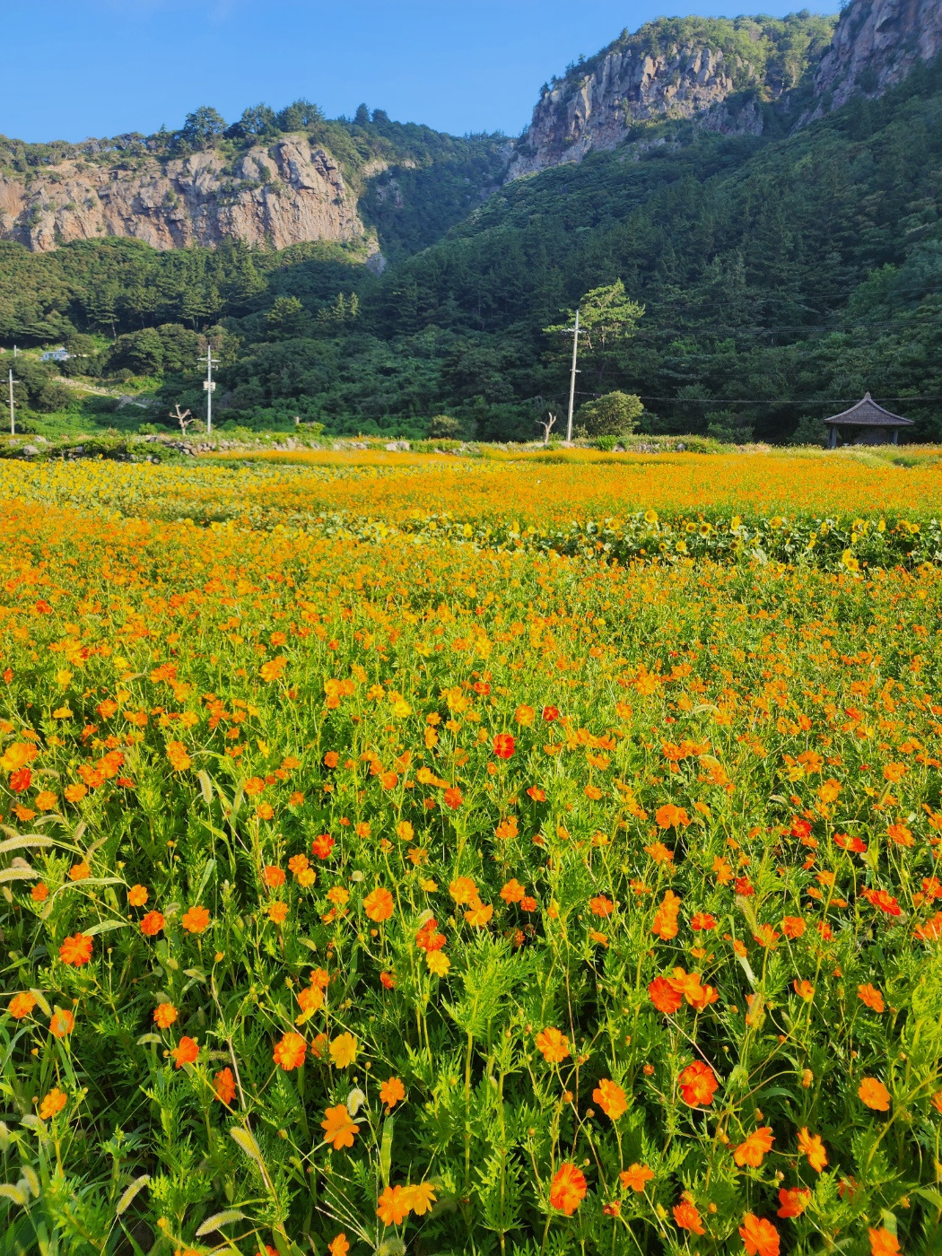 KakaoTalk_20230806_000614128_14 (1).jpg