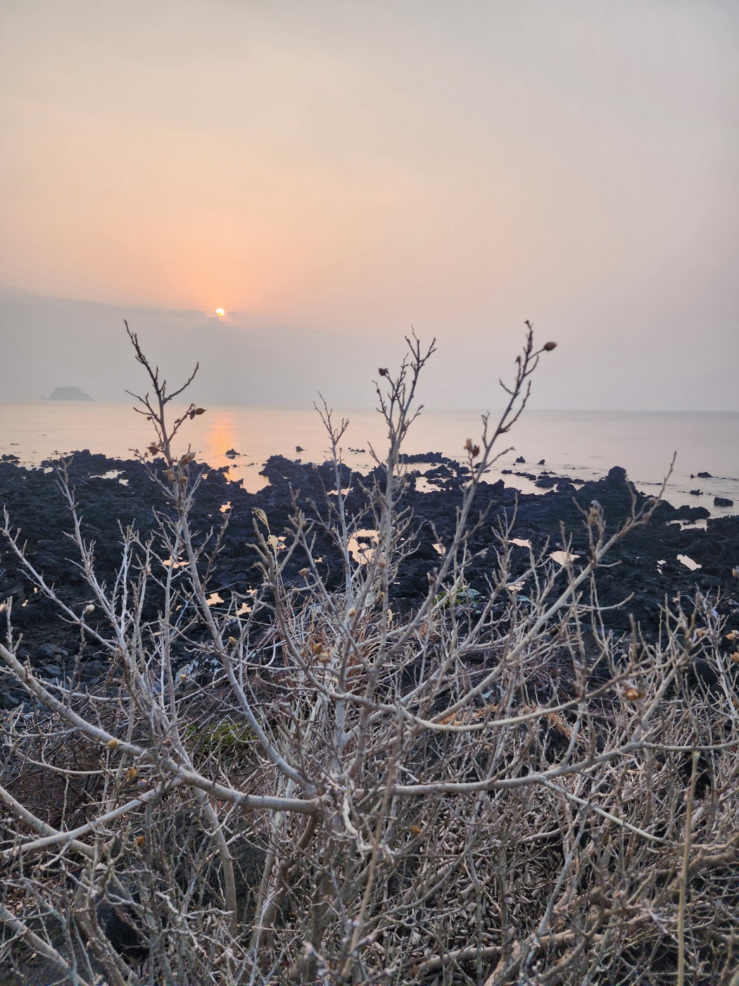 KakaoTalk_20240211_224305204_02 (1).jpg