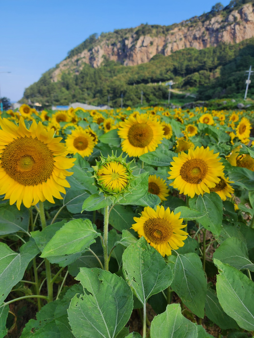 KakaoTalk_20230806_000614128_19 (1).jpg