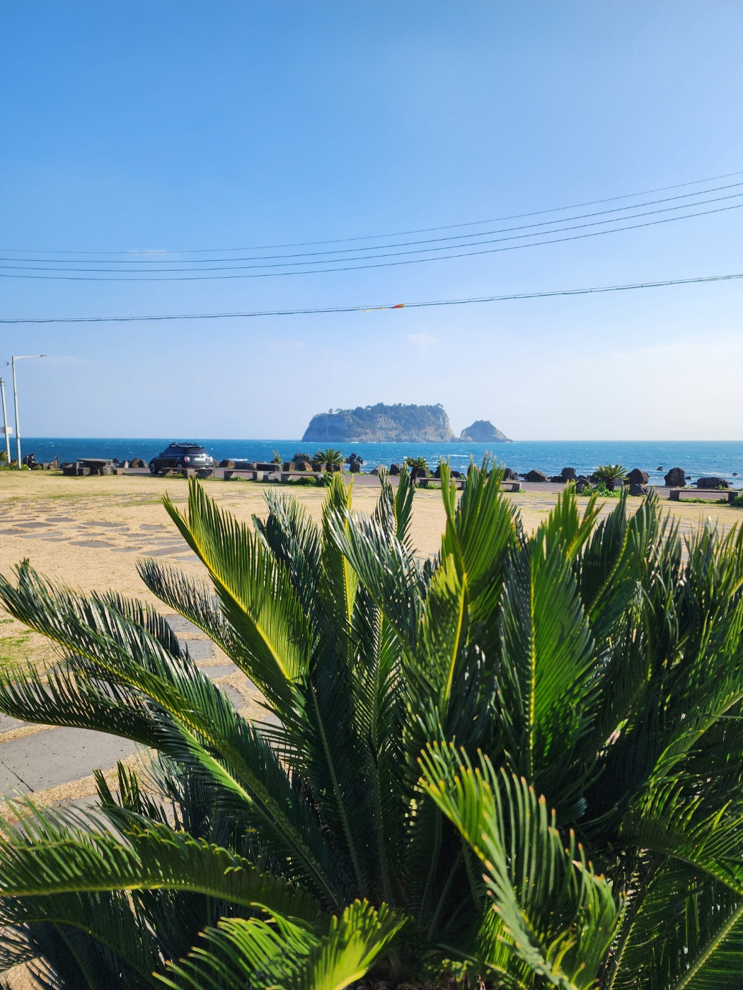 KakaoTalk_20240211_224305204_01 (1).jpg