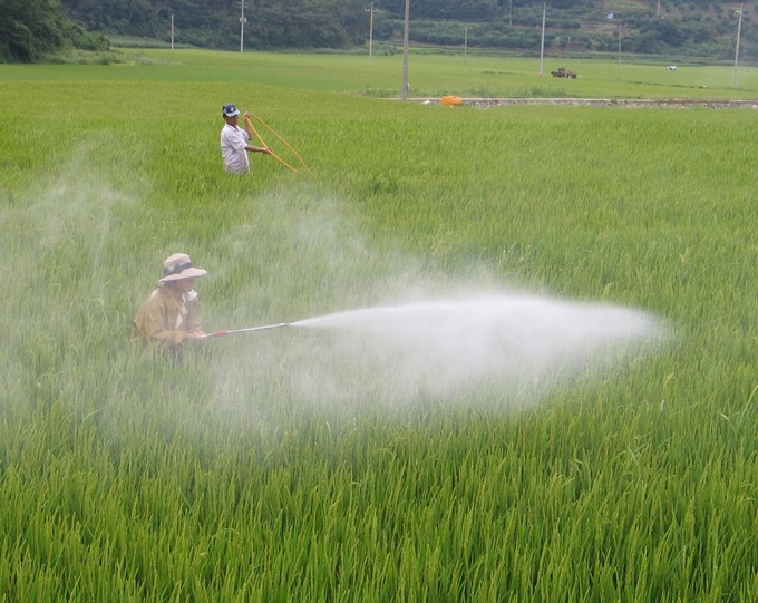 제초제뿌리기_농업신문.jpg