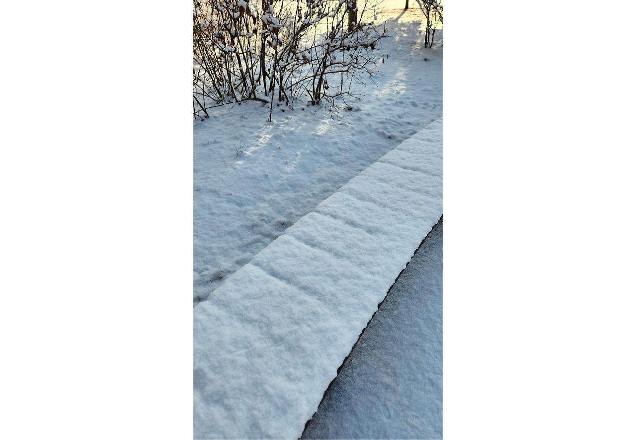 1000034702 (8) (3).jpg