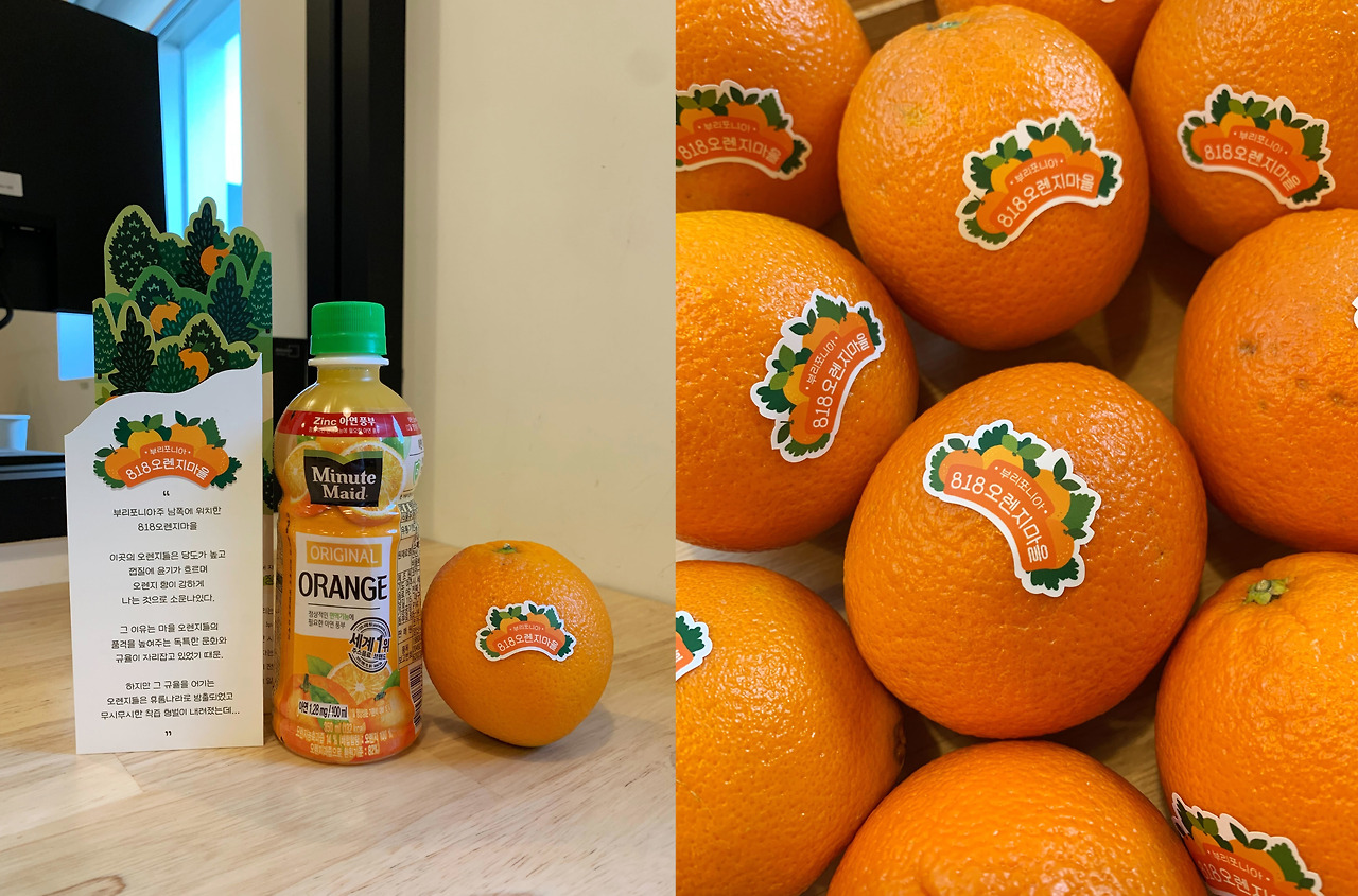 오렌지.jpg