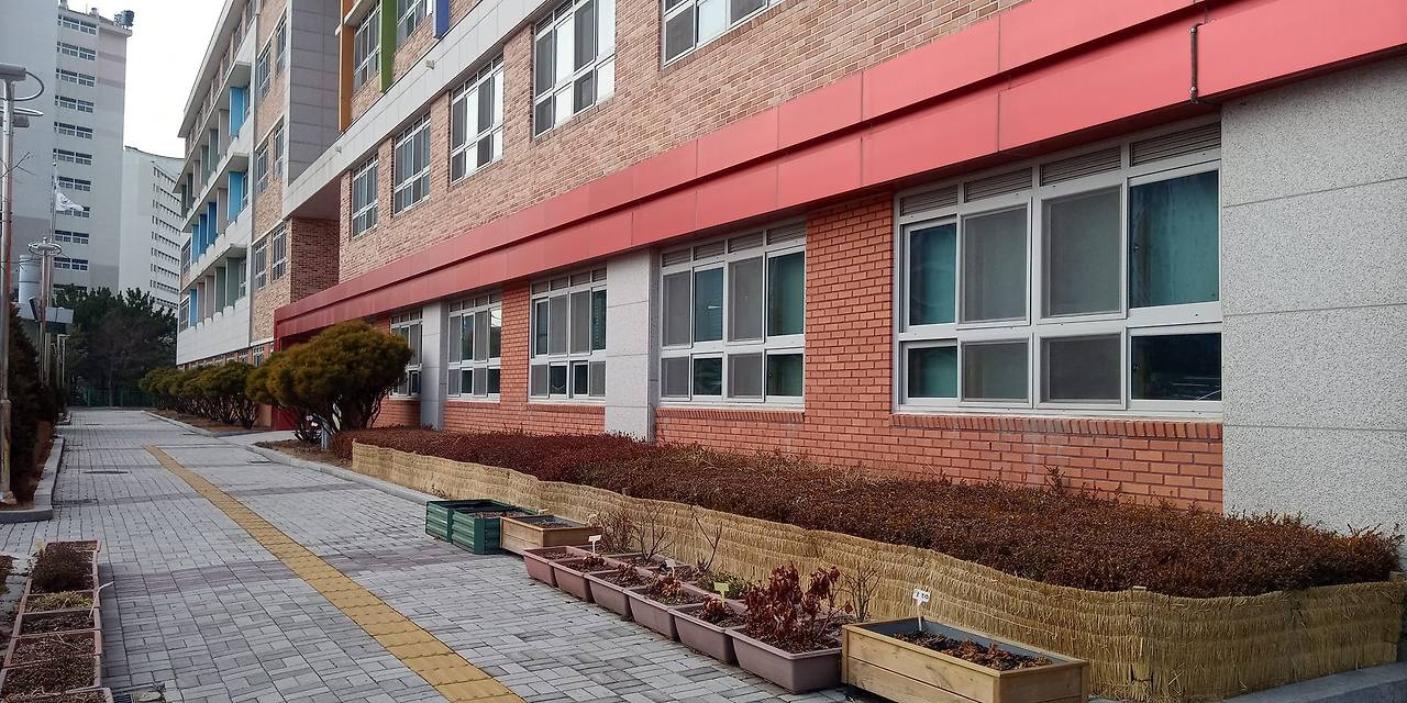 학교.jpg