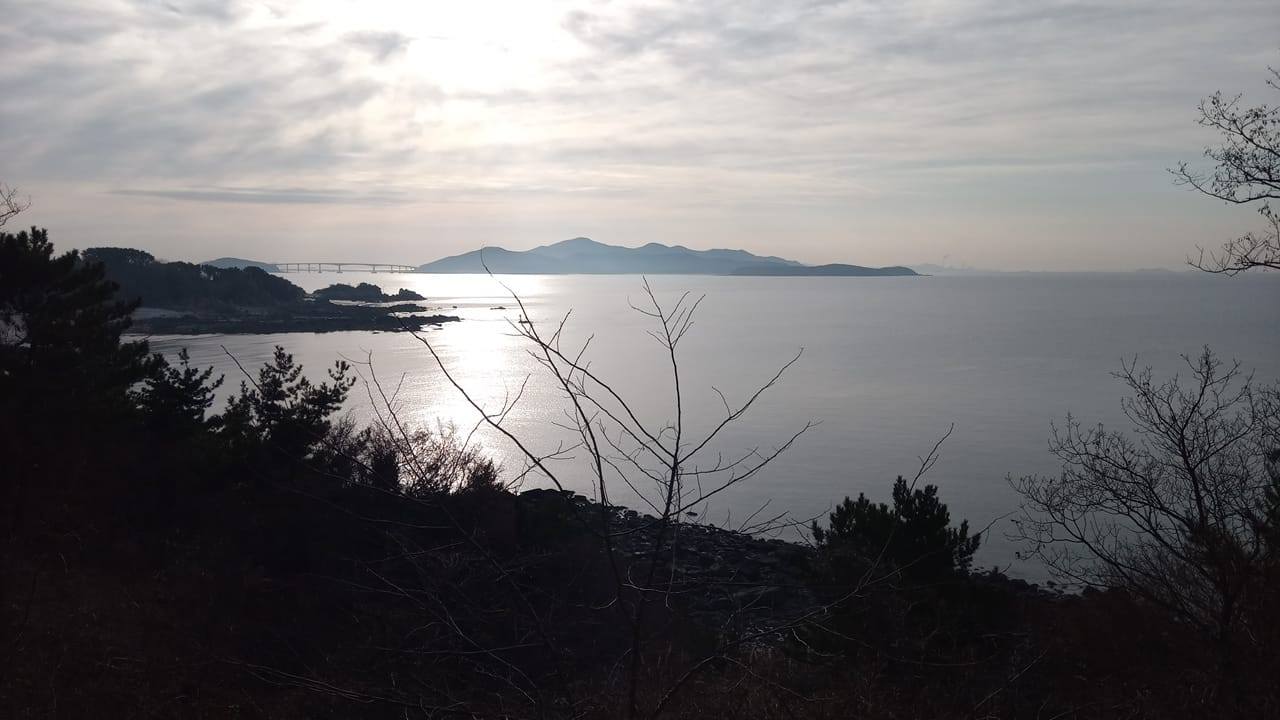 워크숍 산책사진.jpg