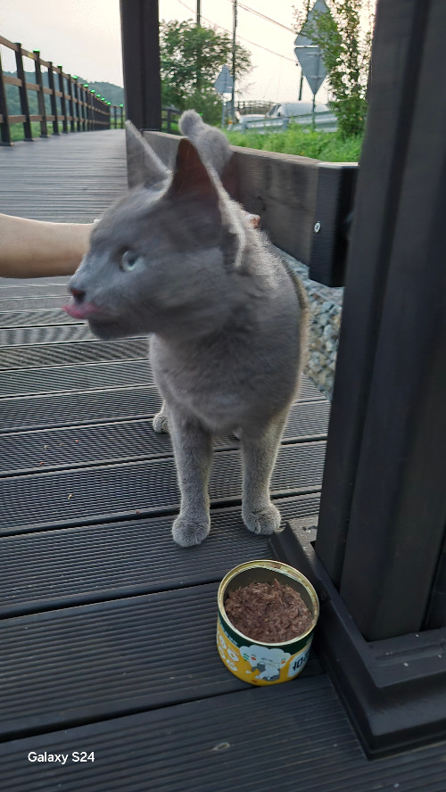 20240813_194147 (1).jpg