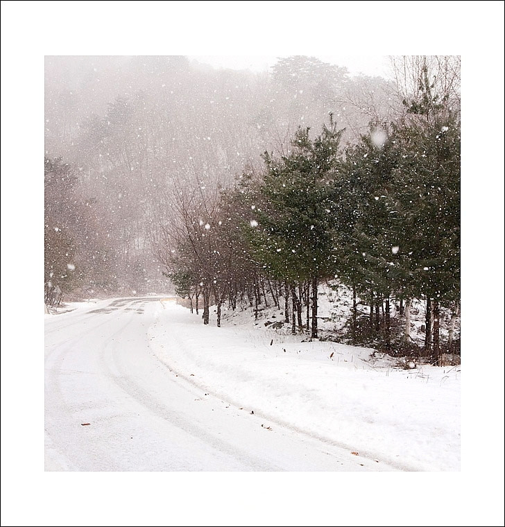 다운로드 (12).jpg