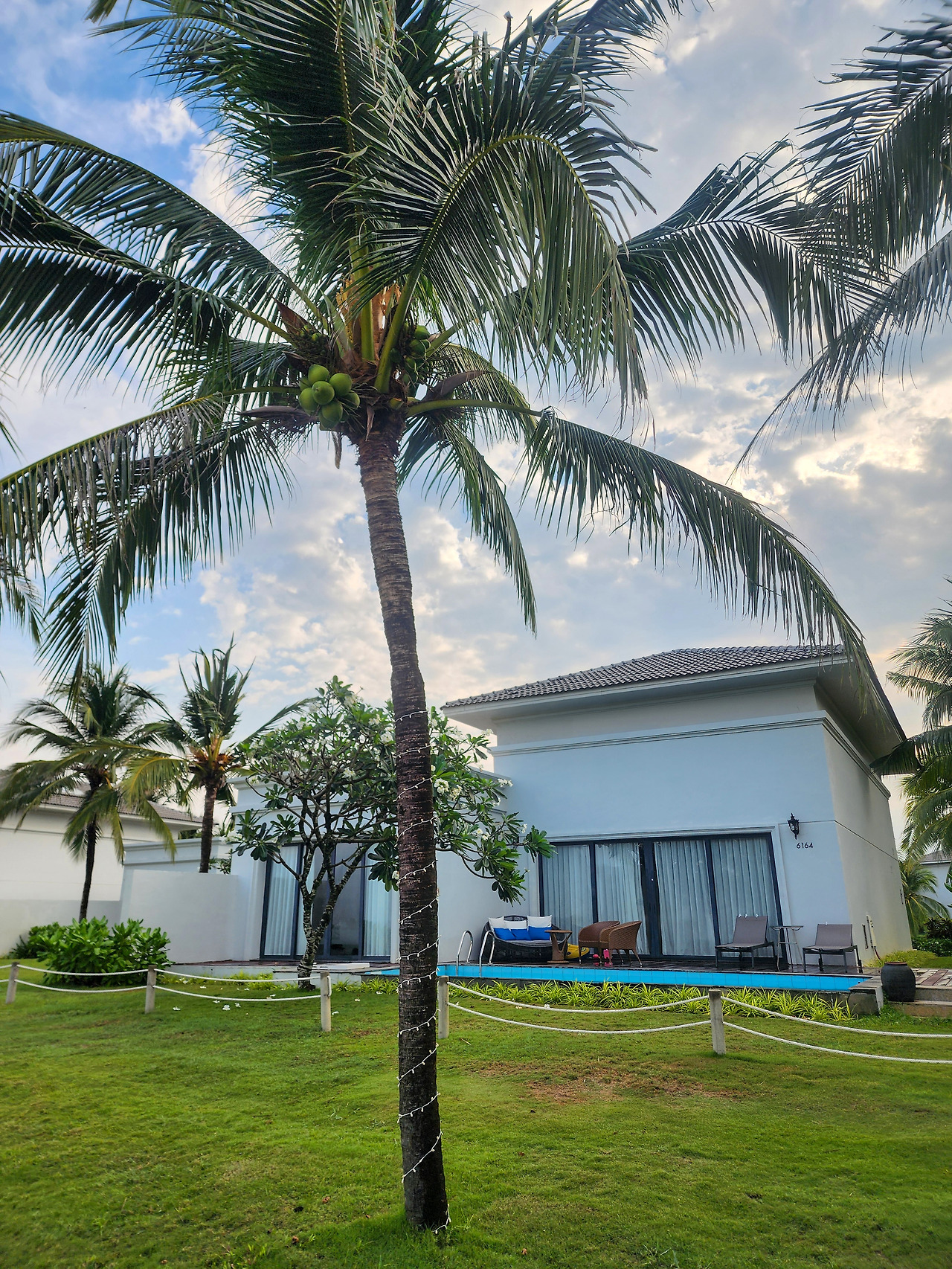 20250317_074713 복사.jpg